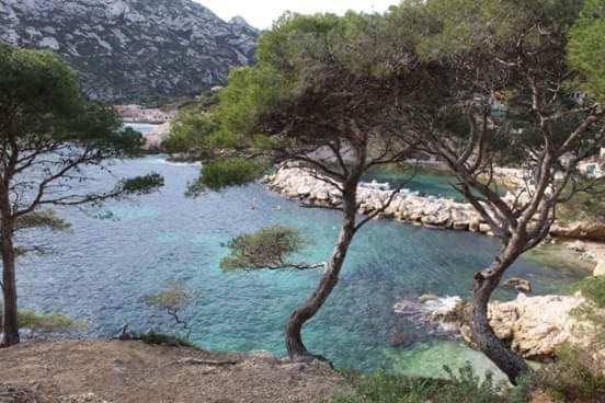 Mon Petit Paradis, Centre 90 M2, 200 M Mer, Terr Plein Sud, Clim Park Prive *